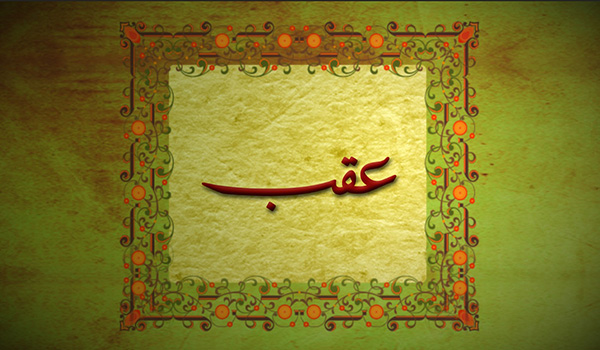 کلیدواژه:عقب